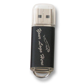 Memoria USB 2Gb Negro
