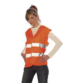 Seguridad Vial Seguridad Vial