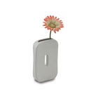FLORERO 50