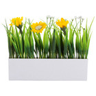Planta Decorativa Botania