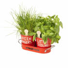 Jamie Oliver Cultiva tus propias plantas