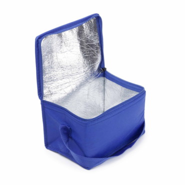 Saco isotérmico com capacidade para 6 latas